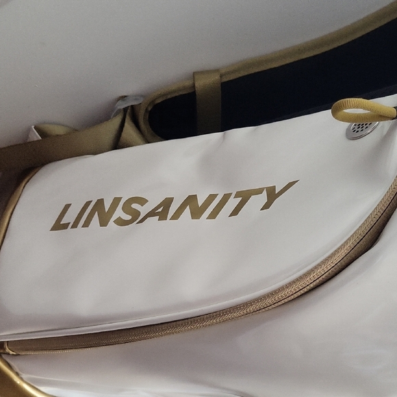 Modern White and Gold Backpack with Leather-like Finish - Picture 2 of 5